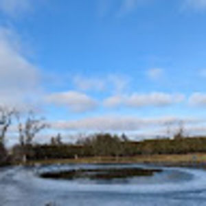 Meet your Posher, Paige